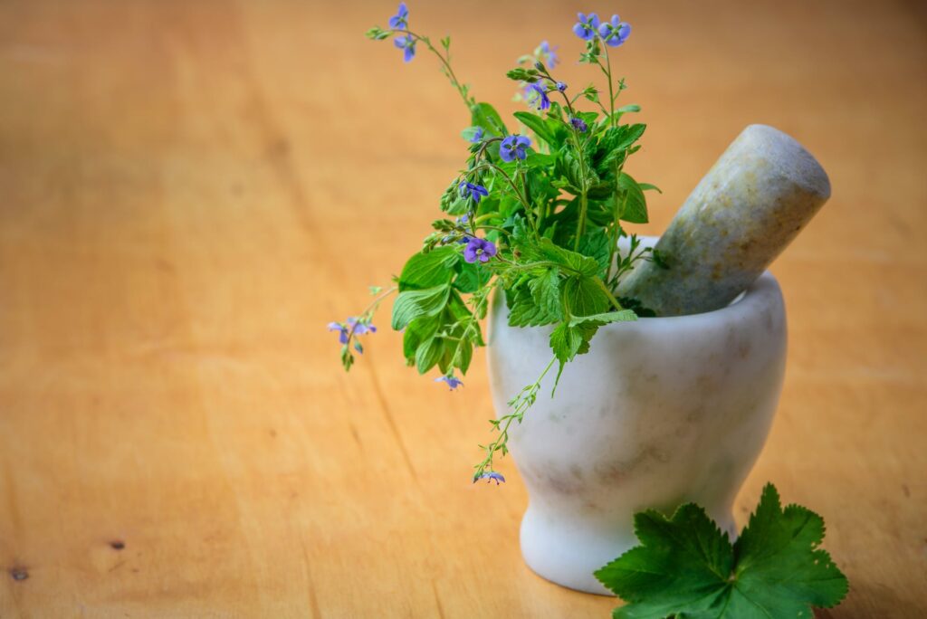 15 तंदुरुस्ती के लिए Wellhealth Ayurvedic Health Tips स्वास्थ्य युक्तियाँ 15 तंदुरुस्ती के लिए Wellhealth Ayurvedic Health Tips स्वास्थ्य युक्तियाँ